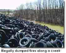 Illegally dumped tires along a creek