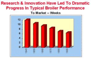 Research and Innovation Have Led to Dramatic Progress in Typical Broiler Performance