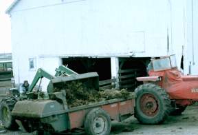 Solid Manure Being Loaded into Spreader 