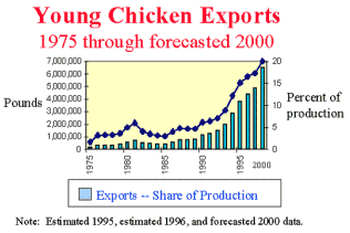 Increase in Young Chicken Exports