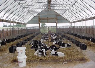 Greenhouse Barn