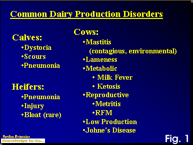 Common Dairy Production Disorders