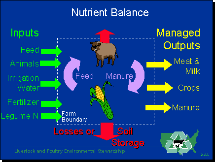 Nitrogen Balance Figure