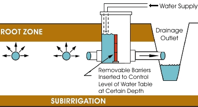 Subirrigation Diagram