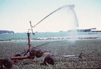 Spray Irrigation