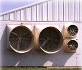 Large Ventilation Fans