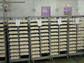 Eggs Refrigerated