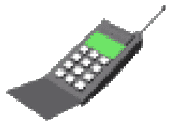 Cellular Phone