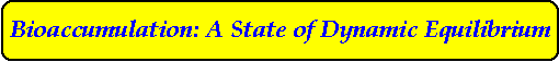 Bioaccumulation