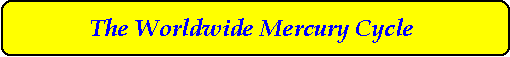 The Worldwide Mercury Cycle