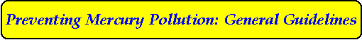 Preventing Mercury Pollution