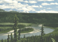 Possible Mercury Content in Water Sources