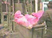 waste
incineration photograph