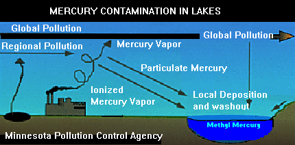Diagram of Contamination in Lakes