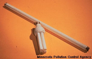 Fluorescent Light Bulbs