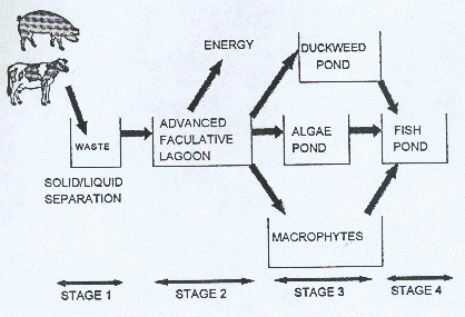p136fig1.gif (38739 bytes)