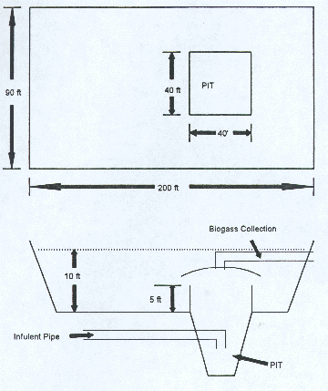 p136fig2.gif (41277 bytes)