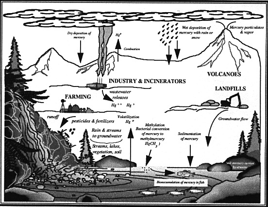 Figure 2-2 Graphic