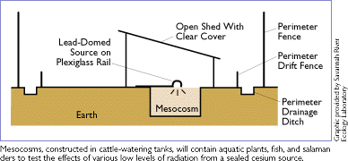 mesocosms diagram