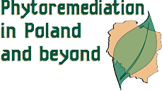 Phytoremediation in Poland and beyond