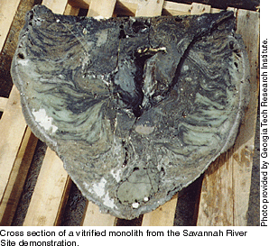 Cross section of a vitrified monolith from the Savannah River Site demonstration