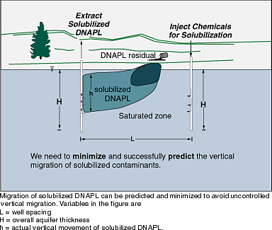 Migration of solubilized DNAPL can be predicted and minimized to avoid uncontrolled vertical migration. Variables in the figure are L - well spacing, H - overall aquifer thickness; and h - actual vertical movement of solubilized DNAPL.