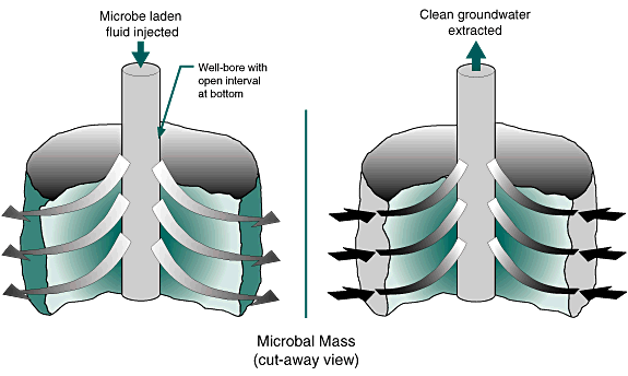 microbial filter