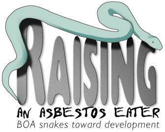 BOA snakes toward development