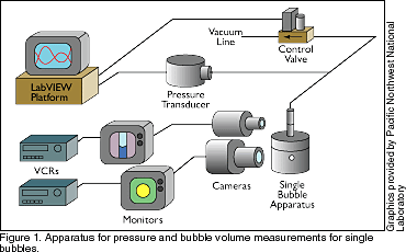 Apparatus for pressure and bubble volume measurements for single bubbles