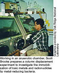 Working in an anaerobic chamber, Scott Brooks prepares a column displacement experiment to investigate the immobilization of toxic metals and radionuclides by metal-reducing bacteria.