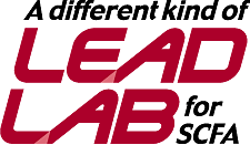 a different kind of lead lab