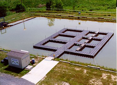  Net Pens
