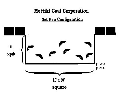  nets