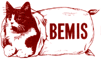 BEMIS cat image