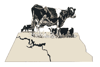 feedbrt1.gif (29524 bytes)