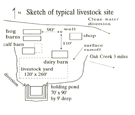 feedbrt3.gif (11074 bytes)