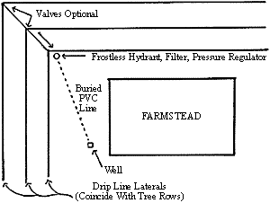 drawing of windbreak drip irrigation system