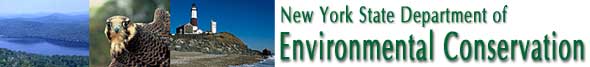 NYSDEC top page graphic